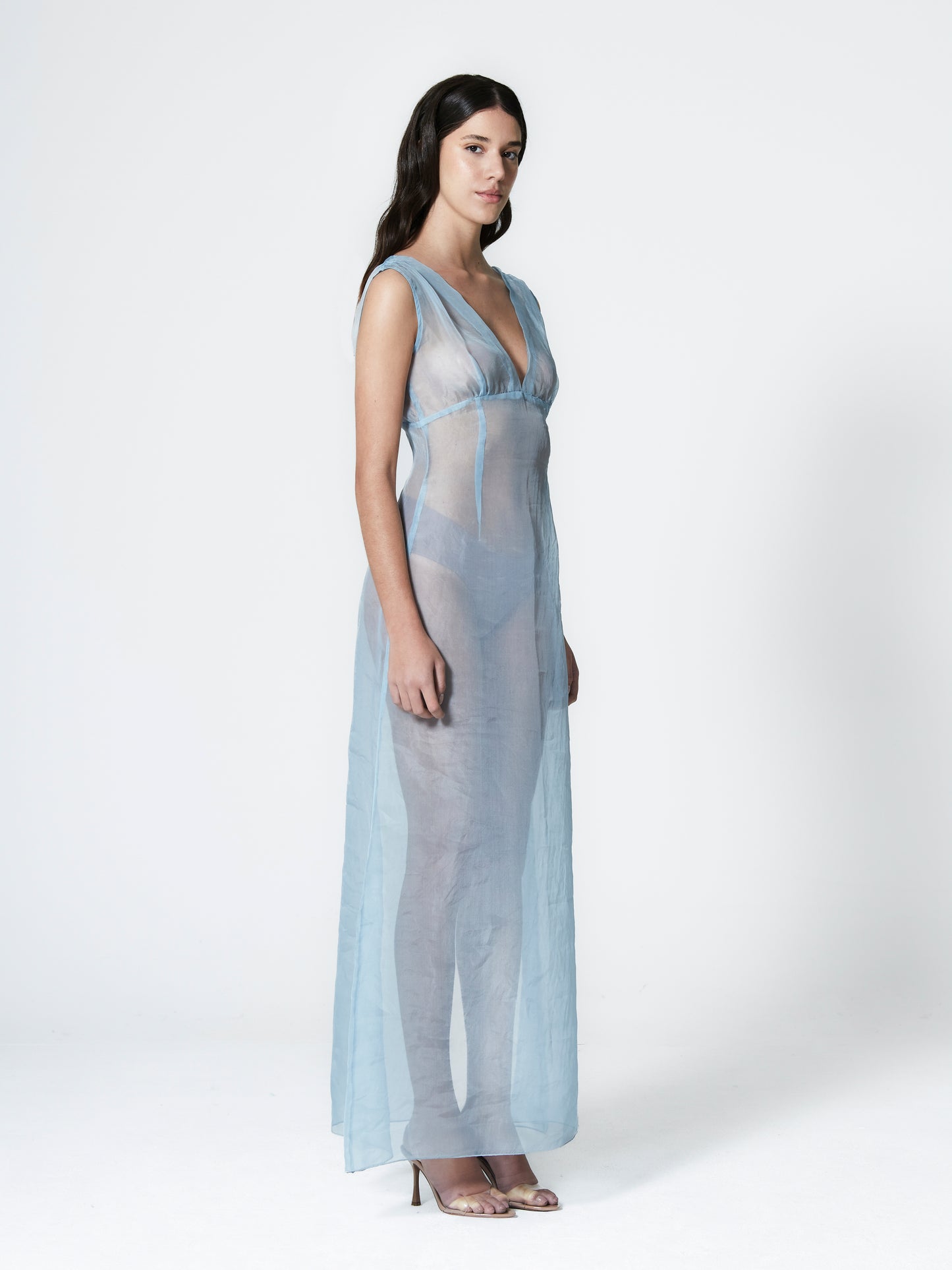 Rose Silk Organza Dress - NthemALL