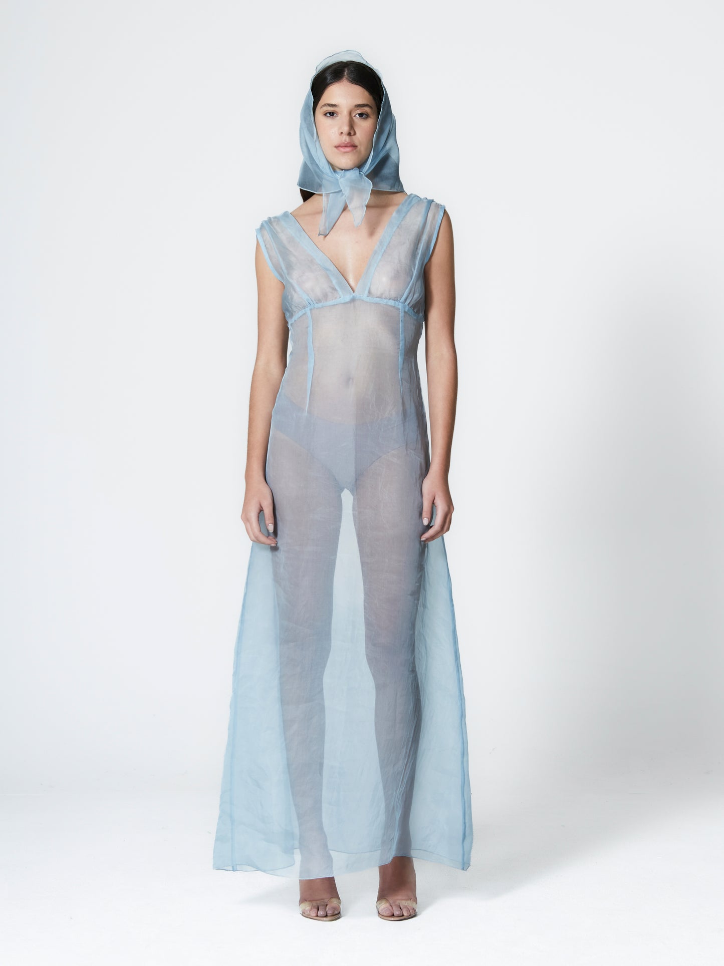 Rose Silk Organza Dress - NthemALL