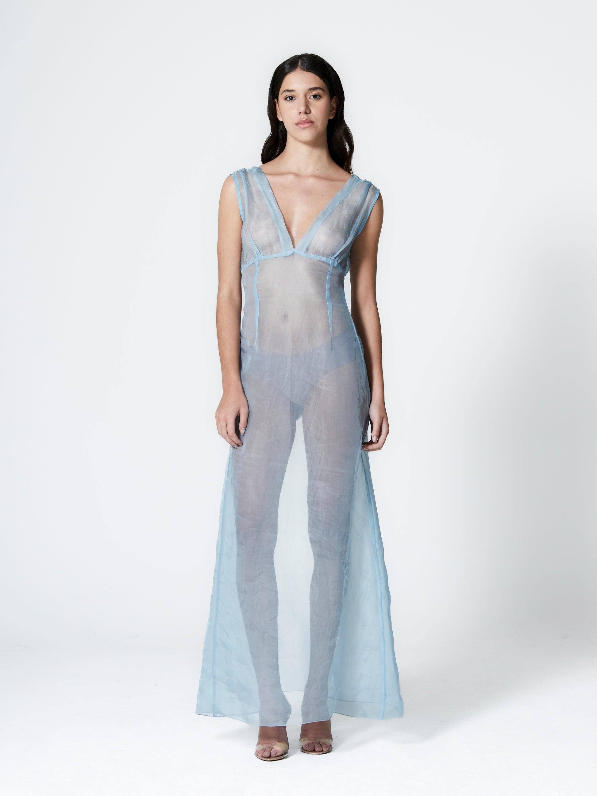 Rose Silk Organza Dress - NthemALL
